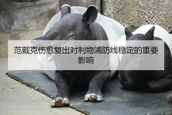 范戴克伤愈复出对利物浦防线稳定的重要影响